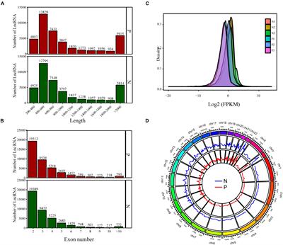 Aberrant Expression of Long Non-coding RNAs in Exosomes in Follicle Fluid From PCOS Patients